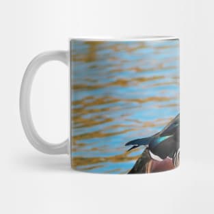 Wood Duck Posing Next To a Pond Mug